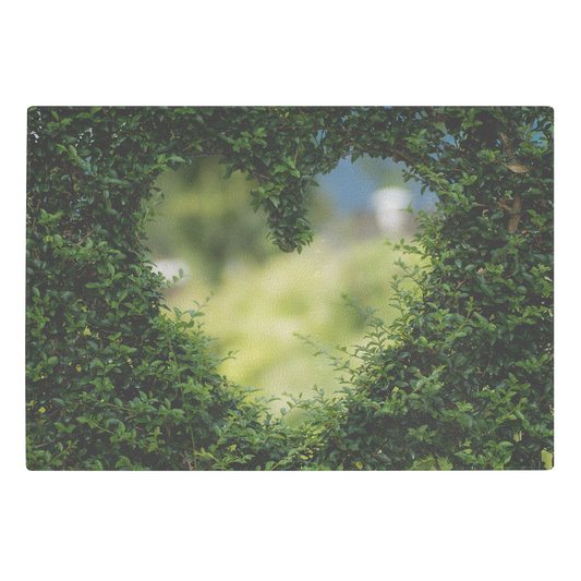 heart view