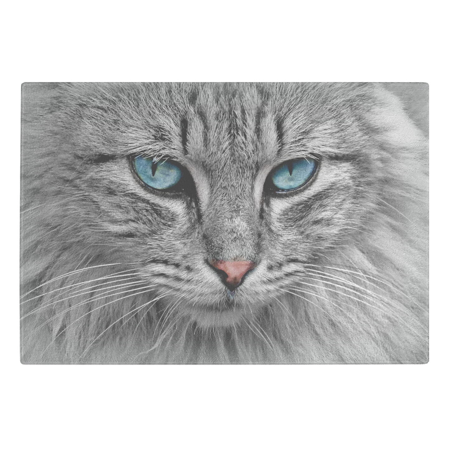 Royal Cat