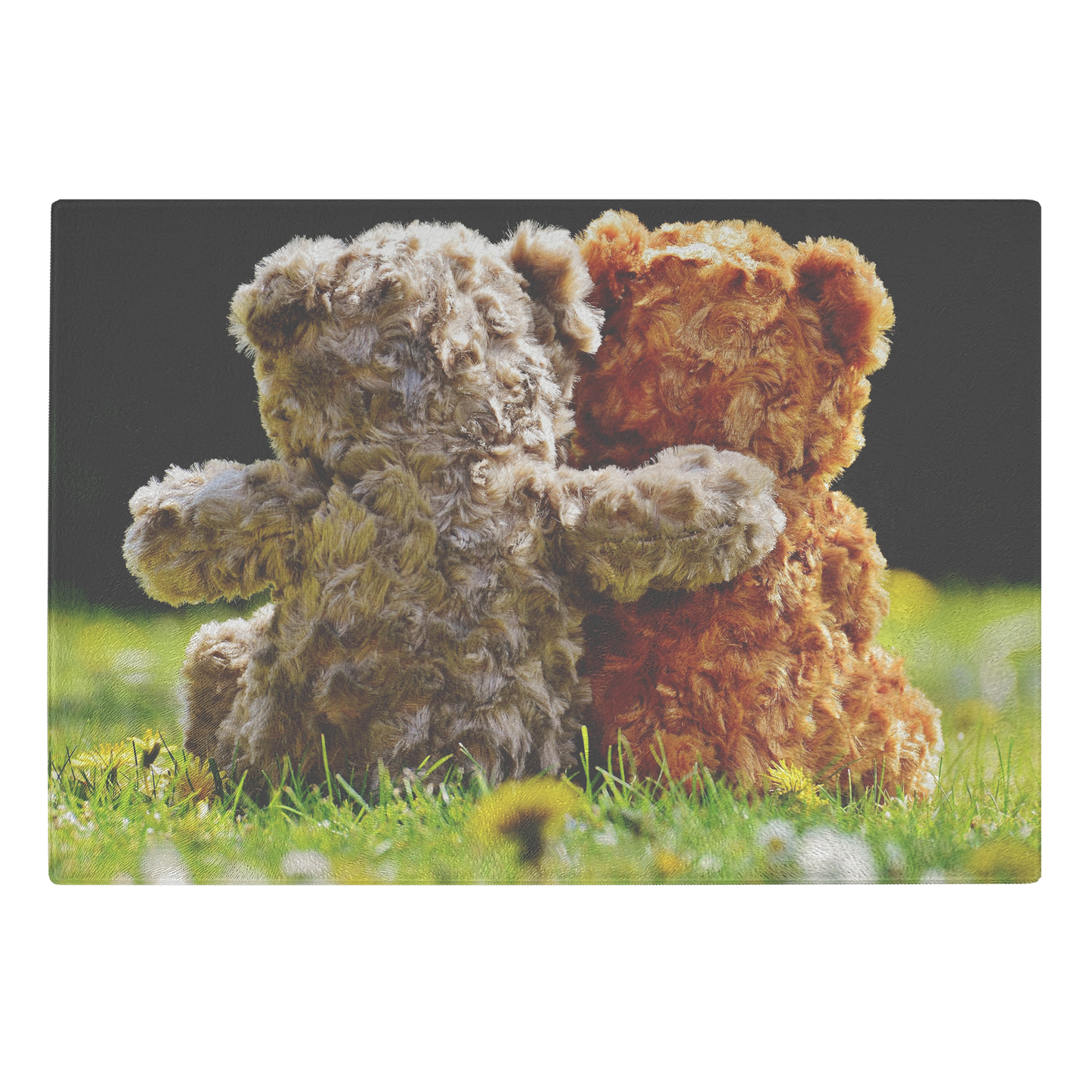 Couple Bear