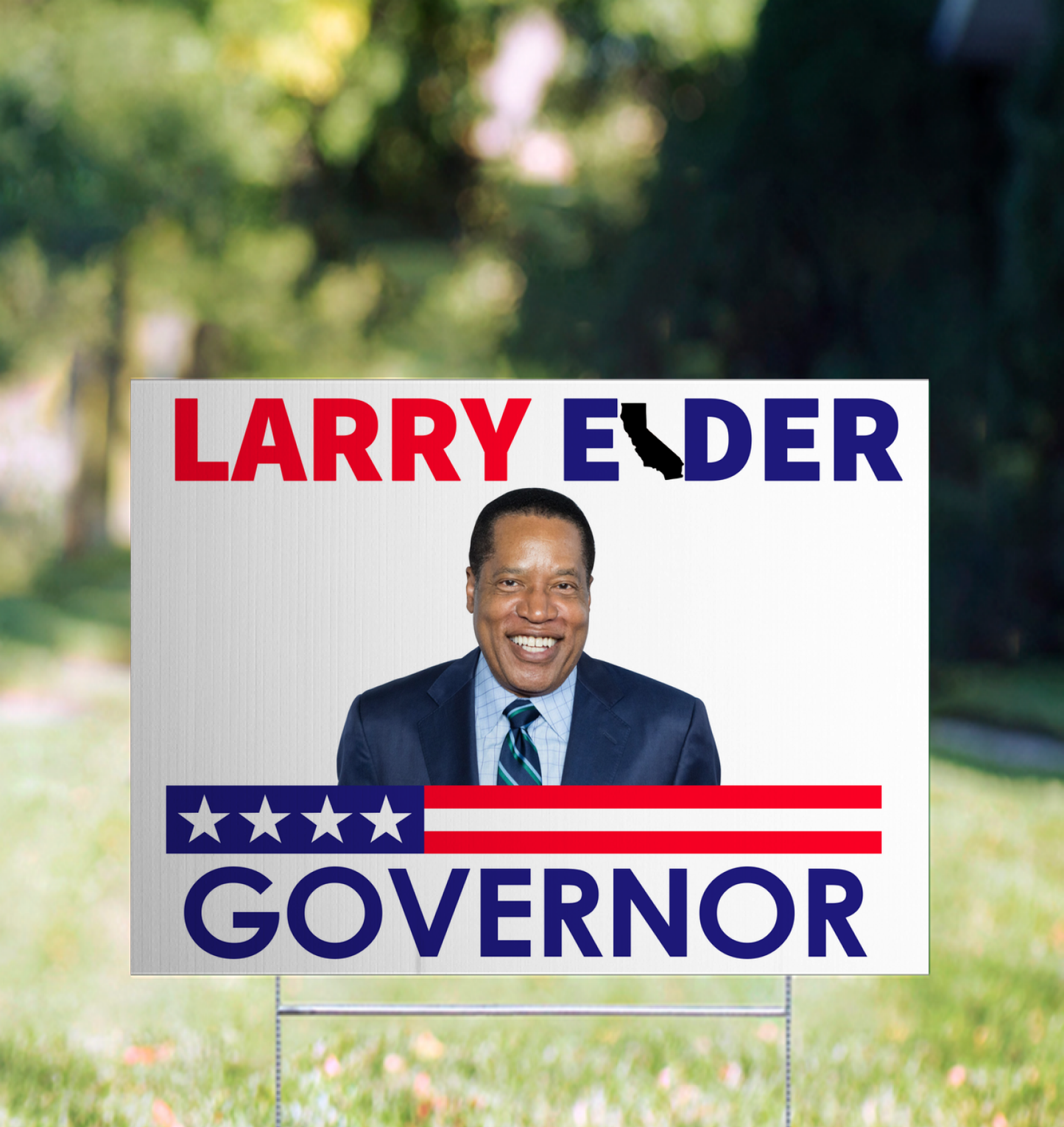 Larry Elder for California Governor Yard Sign 24 x 18 - Coroplast Visible Text Long Lasting Red White & Blue Yard Sign with Metal H-Stake (24x18, Double Sided)