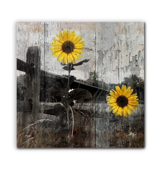 BEEPBOOP Retro Sunflower Decor, Country Farmhouse Landscape Canvas Wall Art Prints Room Decor for Home Office Apartment Wall Decor Unframed Poster Wall Decoration Ready to Hang (16X16 in)
