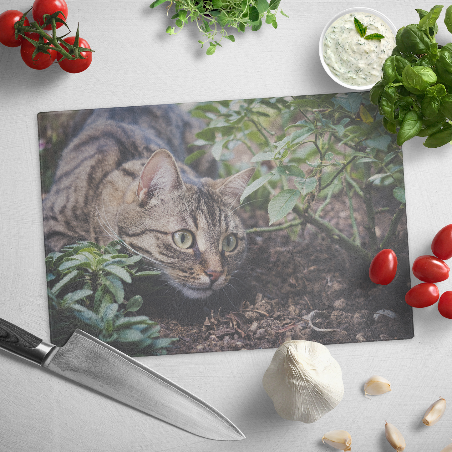 Hunting Cat