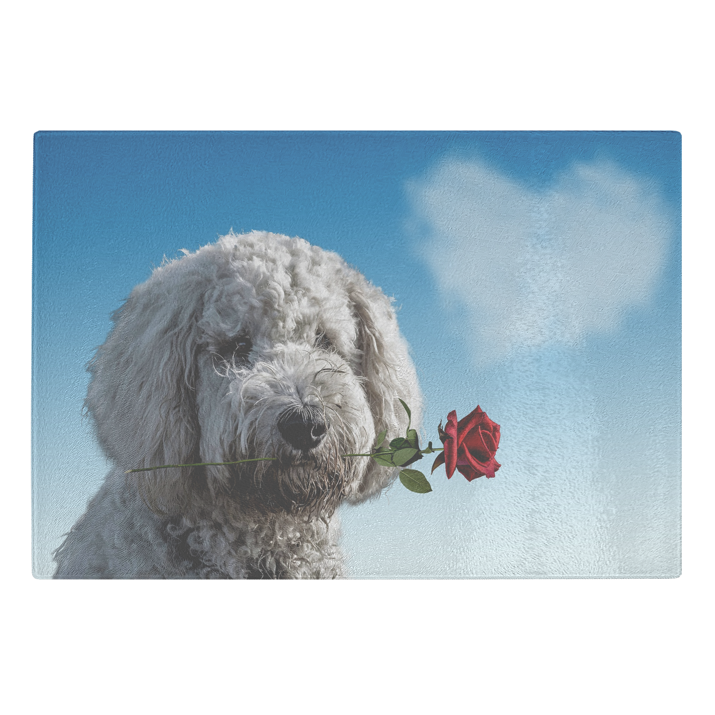Dog Fall in Love
