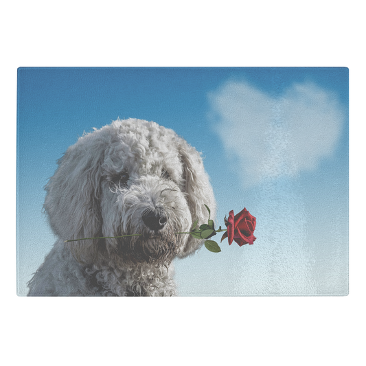 Dog Fall in Love