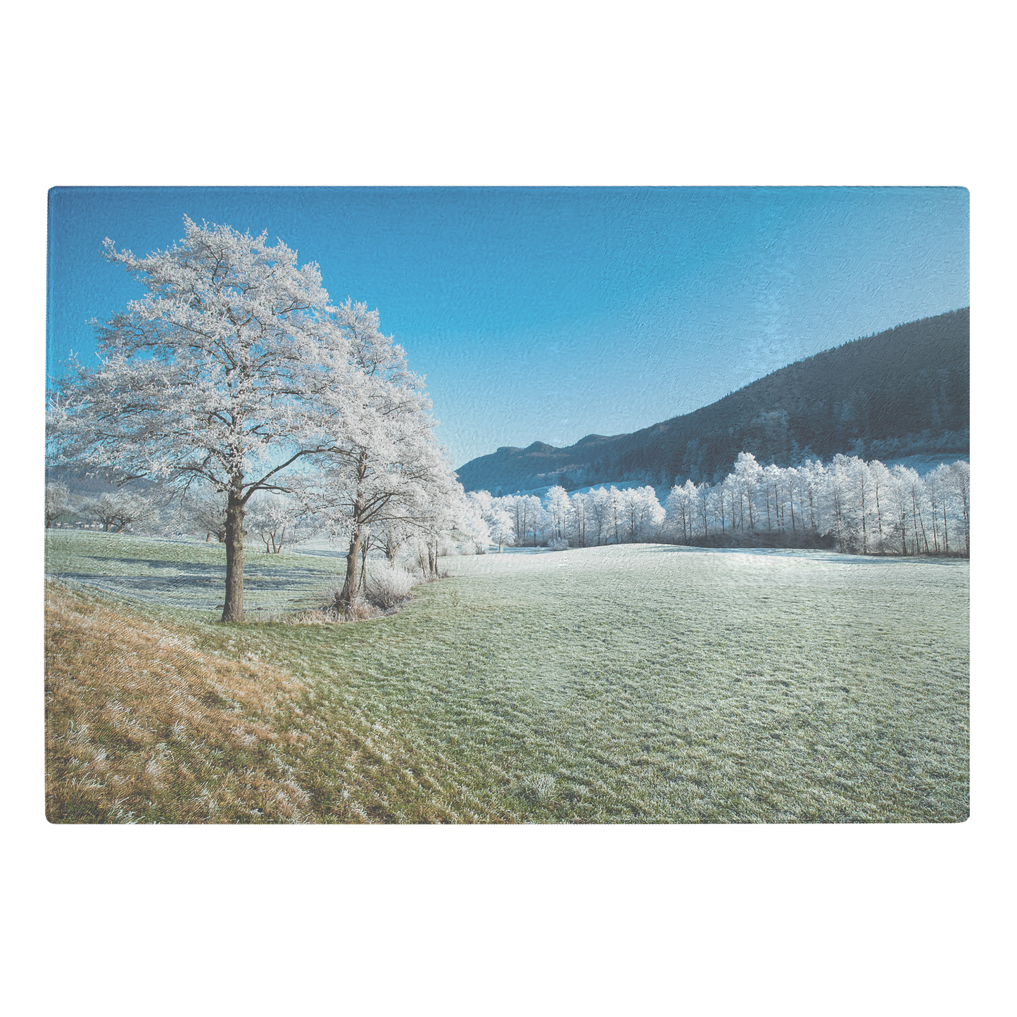 Beautiful Winter Season Landscape