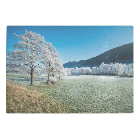 Beautiful Winter Season Landscape