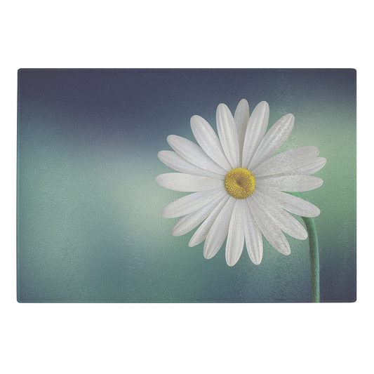 Chrysanthemum flowers