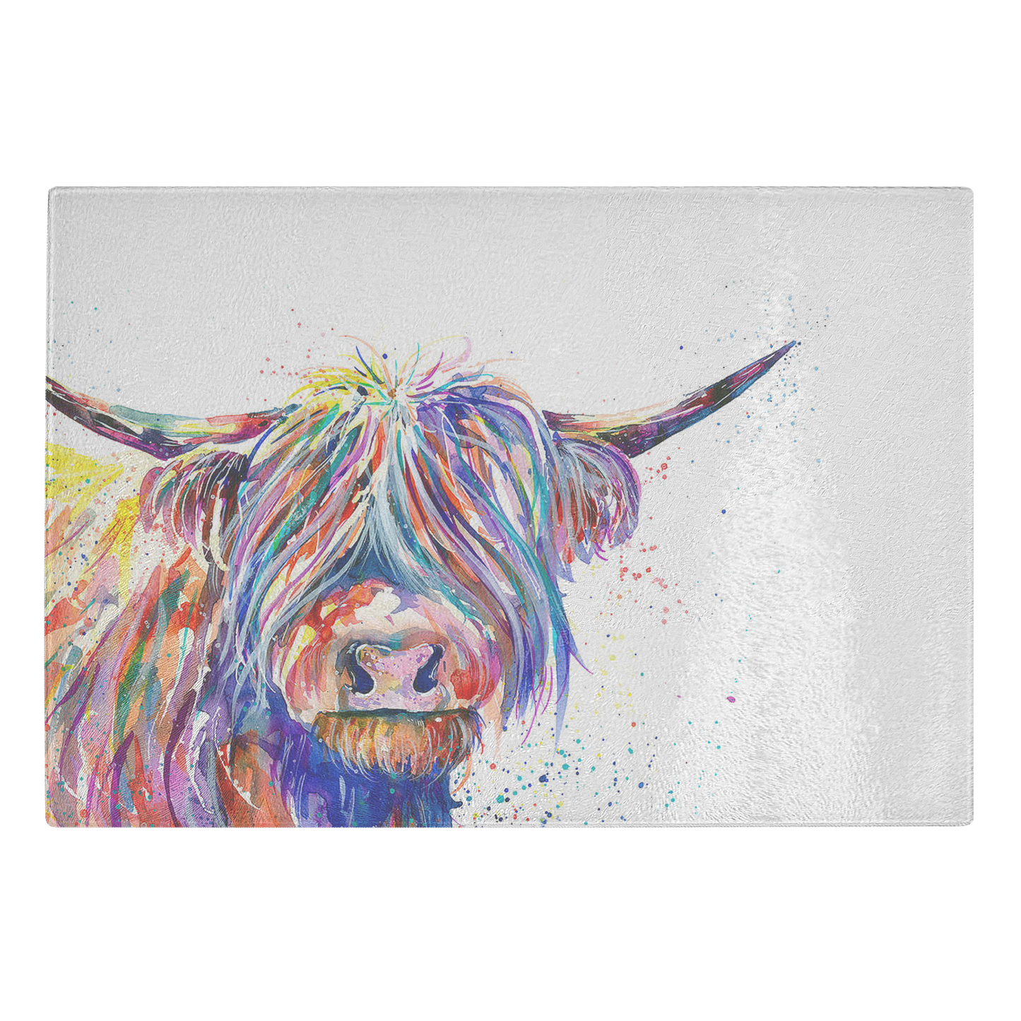 highland cow 2